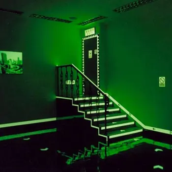 Luminous Tape Luminous Strips Home Decoration Stage Anti-skid Storage Pet Tape Pvc Printing Self-illumination
Luminous Tape Luminous Strips Home Decoration Stage Anti-skid Storage Pet Tape Pvc Printing Self-illumination