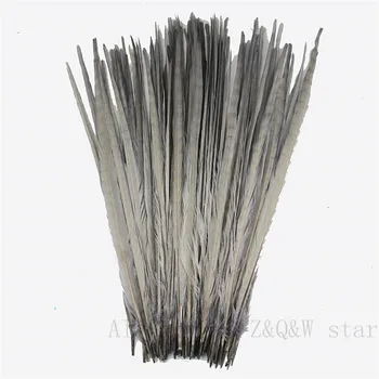 Wholesale 30-70CM (12-28 inches) natural pheasant tail feather dyed gray 30-200PCS DIY craft jewelry opera shuttlecock feather 
Wholesale 30-70CM (12-28 inches) natural pheasant tail feather dyed gray 30-200PCS DIY craft jewelry opera shuttlecock feather
