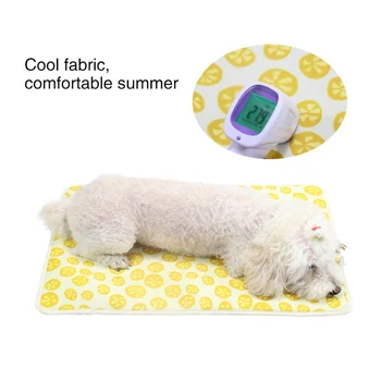 Pet Summer Cooling Mat For Dogs Non-Toxic & Anti-slip Pet Bed & Kennel Breathable Bed Floor Pad for Dogs Cats Cooling Mat B B
Pet Summer Cooling Mat For Dogs Non-Toxic & Anti-slip Pet Bed & Kennel Breathable Bed Floor Pad for Dogs Cats Cooling Mat B B