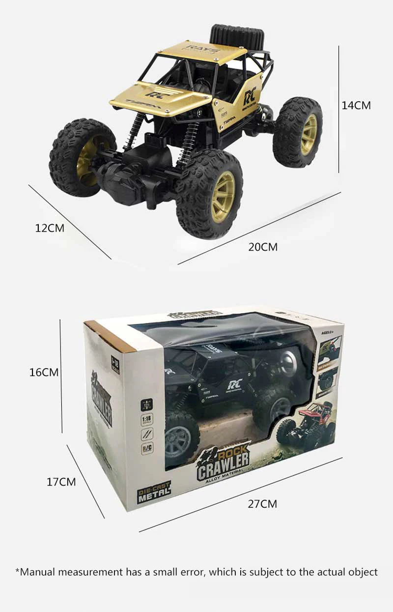 RC Car (9)