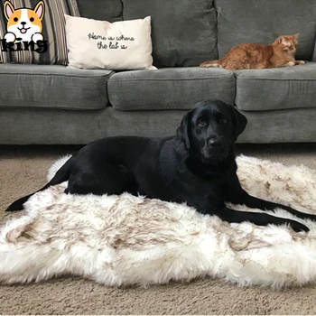 2020 New Product Explosion Plush Dog Bed Mat Dog Beds for Large Dogs Stylish Dog Blanket Cat Bed Beige Cushion for Pets To Rest
2020 New Product Explosion Plush Dog Bed Mat Dog Beds for Large Dogs Stylish Dog Blanket Cat Bed Beige Cushion for Pets To Rest