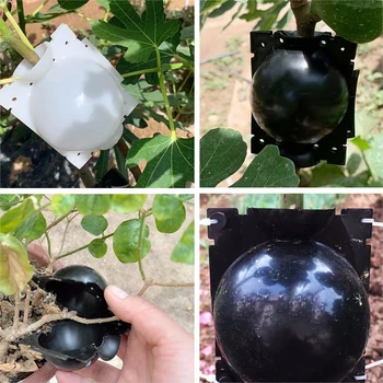 New 2020 Plant Rooting Ball Grafting Rooting Growing Box Breeding Case for Garden Plant high-pressure propagation box Sapling
New 2020 Plant Rooting Ball Grafting Rooting Growing Box Breeding Case for Garden Plant high-pressure propagation box Sapling