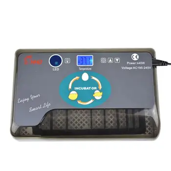 Incubator for 12 Eggs Hatcher Automatic Egg Incubator Brooder Farm Hatchery Machine Chicken Incubator Goose Bird Quail Brooder
Incubator for 12 Eggs Hatcher Automatic Egg Incubator Brooder Farm Hatchery Machine Chicken Incubator Goose Bird Quail Brooder
