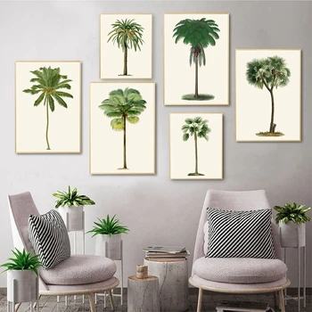 Tropical Palm Tree Vintage Illustrations Posters and Prints Palm Trees Botanical Wall Art Canvas Painting Pictures Home Decor
Tropical Palm Tree Vintage Illustrations Posters and Prints Palm Trees Botanical Wall Art Canvas Painting Pictures Home Decor