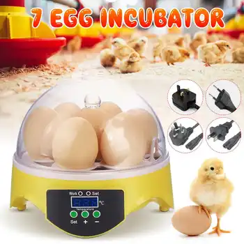 Automatic Egg Hatcher Clear Digital Chicken Duck Bird 7 Egg Incubator Hatcher Househould Incubator Brooder Tools
Automatic Egg Hatcher Clear Digital Chicken Duck Bird 7 Egg Incubator Hatcher Househould Incubator Brooder Tools