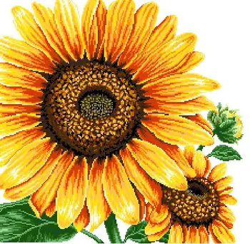 Homefun Cross Stitch Kit Package Floral Needlework Counted Cross-Stitching Kits New Counted Cross Stich Set Painting SYP004
Homefun Cross Stitch Kit Package Floral Needlework Counted Cross-Stitching Kits New Counted Cross Stich Set Painting SYP004