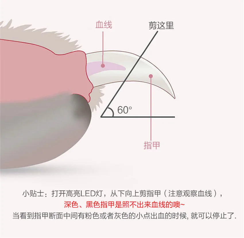 图2 (11)