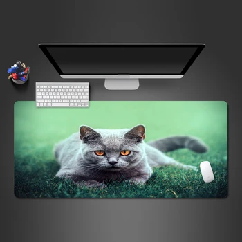 Super Cute Cat Animal Mouse Pad Wholesale Customized Large Natural Rubber Washing Pad Computer Accessories Game Mousepad
Super Cute Cat Animal Mouse Pad Wholesale Customized Large Natural Rubber Washing Pad Computer Accessories Game Mousepad