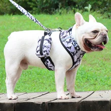 Black Dog Leather Harness Print Dog Harness And Leash Set For Small Dogs Medium Dog Leash And Dog Chest Harness Vest 
Black Dog Leather Harness Print Dog Harness And Leash Set For Small Dogs Medium Dog Leash And Dog Chest Harness Vest