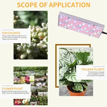 Led Grow Light Red Blue Vegetables Energy Saving Plant Lamp Plants Growth Light 25W 75LED Clones Micro Greens Seedlings
Led Grow Light Red Blue Vegetables Energy Saving Plant Lamp Plants Growth Light 25W 75LED Clones Micro Greens Seedlings