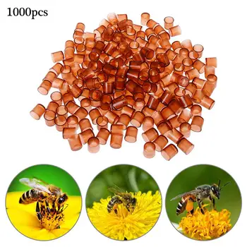 1000 Pcs Bee Queen Rearing King New Plastic Brown Color Cells Cages Room Cups Cell Cage Cup Bees Tools Beekeepers Equipment
1000 Pcs Bee Queen Rearing King New Plastic Brown Color Cells Cages Room Cups Cell Cage Cup Bees Tools Beekeepers Equipment