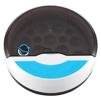9 Egg Incubator Farm Hatching Incubator Automatic Digital Temperature Humidity Control Led Bird Eggs Incubator
9 Egg Incubator Farm Hatching Incubator Automatic Digital Temperature Humidity Control Led Bird Eggs Incubator