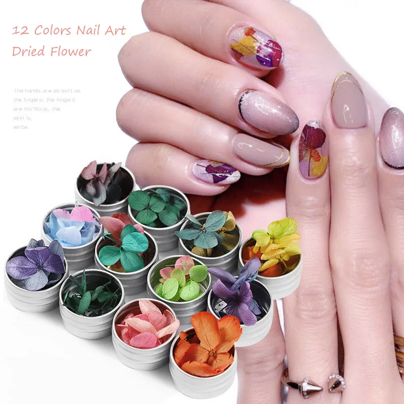 5Pcs/Box Natural Dried Flowers Nail Art Decoration 3D Manicure Polish Summer Real Preserved Floral Dry Bloom Tips Manicure
5Pcs/Box Natural Dried Flowers Nail Art Decoration 3D Manicure Polish Summer Real Preserved Floral Dry Bloom Tips Manicure