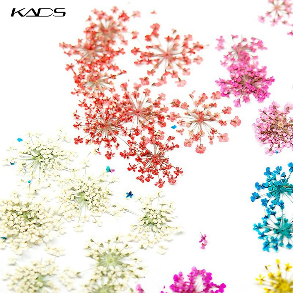 KADS 10 шт. Звездные кластеры сушеные цветы украшения для ногтей натуральные