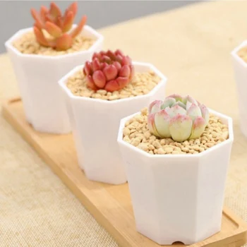 10PCS White Thick Resin Flower Pot Succulents Imitating Ceramic Simple And Versatile Small Flower Pot Strong And Durable Octagon
10PCS White Thick Resin Flower Pot Succulents Imitating Ceramic Simple And Versatile Small Flower Pot Strong And Durable Octagon
