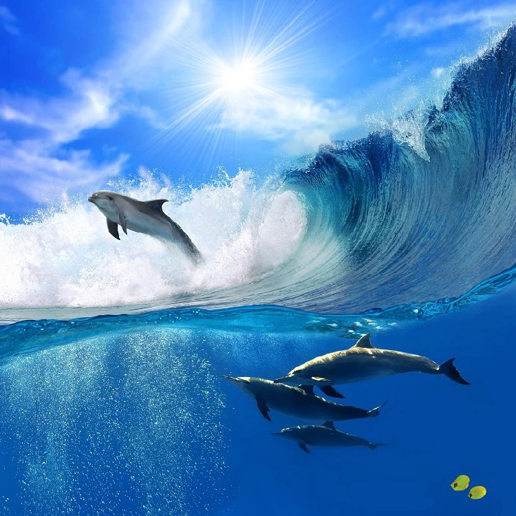 Drop Shipping Custom Photo Wallpaper 3D Large Mural Living Room Sofa Children Cartoon Sky Dolphin Sea Wallpaper
Drop Shipping Custom Photo Wallpaper 3D Large Mural Living Room Sofa Children Cartoon Sky Dolphin Sea Wallpaper