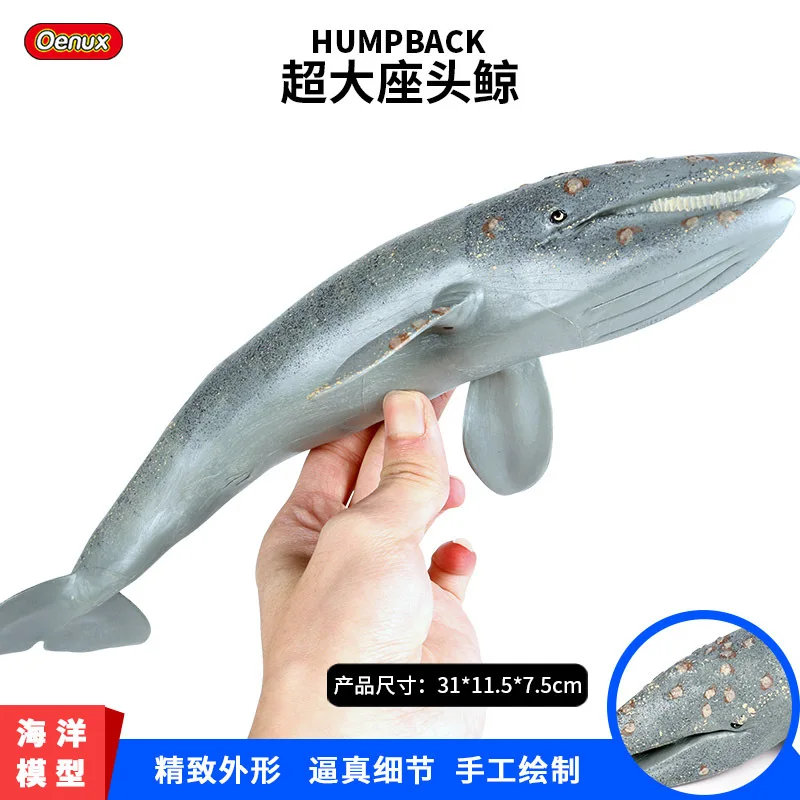Children Solid Model Marine Organism Seabed Animal Model Large Size Humpback Whale Shark Tiger Shark Toy
Children Solid Model Marine Organism Seabed Animal Model Large Size Humpback Whale Shark Tiger Shark Toy