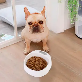 Pet Weighing Bowl Intelligent Pet Dog Cat Digital Feeding Smart Weighing Bowl Slow Feeder Bowls
Pet Weighing Bowl Intelligent Pet Dog Cat Digital Feeding Smart Weighing Bowl Slow Feeder Bowls