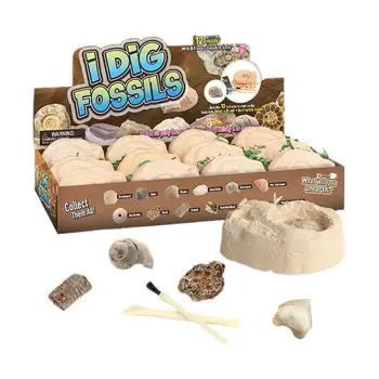 1 Set Archaeological Toy Digging Toy Early Learning Toy Educational Toy Excavation Toy Intelligence Toy
1 Set Archaeological Toy Digging Toy Early Learning Toy Educational Toy Excavation Toy Intelligence Toy