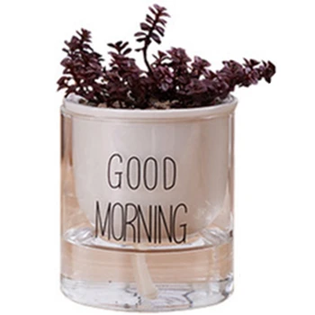 1Pc Automatic Watering Planter Pot Ceramic Flowerpot With Glass Water Container For Green Plants Succulent Plant Cactus-Black Sm 
1Pc Automatic Watering Planter Pot Ceramic Flowerpot With Glass Water Container For Green Plants Succulent Plant Cactus-Black Sm