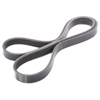 Poly-V belt MAZDA 121 III (JASM JBSM) 1.8 D 19DV-5PK1145JAPANPARTS
Poly-V belt MAZDA 121 III (JASM JBSM) 1.8 D 19DV-5PK1145JAPANPARTS