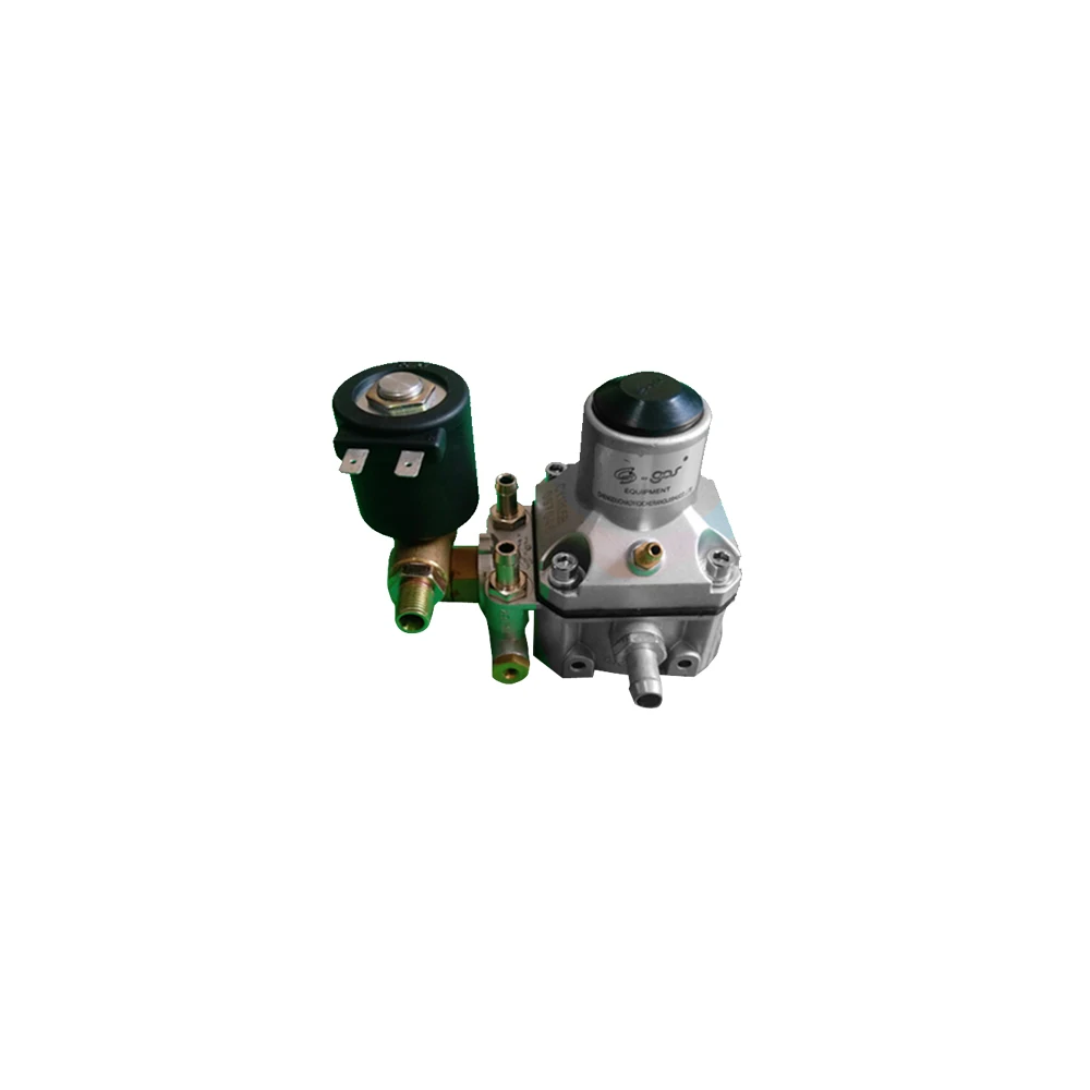 CNG pressure reducer Multi-point direct injection pressure reducing valve LANDIRENZO primary pressure reducer gas
CNG pressure reducer Multi-point direct injection pressure reducing valve LANDIRENZO primary pressure reducer gas