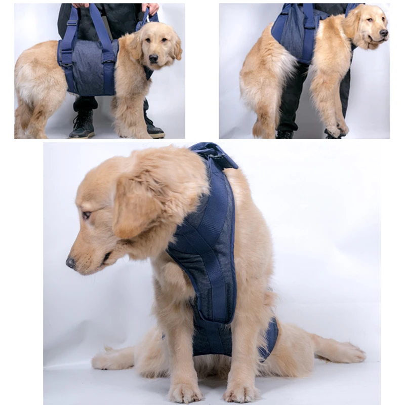 Old Dog Lift Support Harness Helpful Assists Straps With Handle For Injured Hind Legs Dogs XS/S/M/L/XL Old Pets Protector
Old Dog Lift Support Harness Helpful Assists Straps With Handle For Injured Hind Legs Dogs XS/S/M/L/XL Old Pets Protector