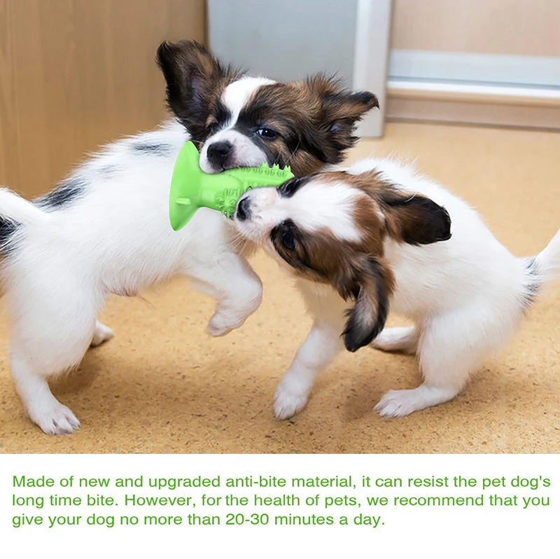 dog toothbrush toy