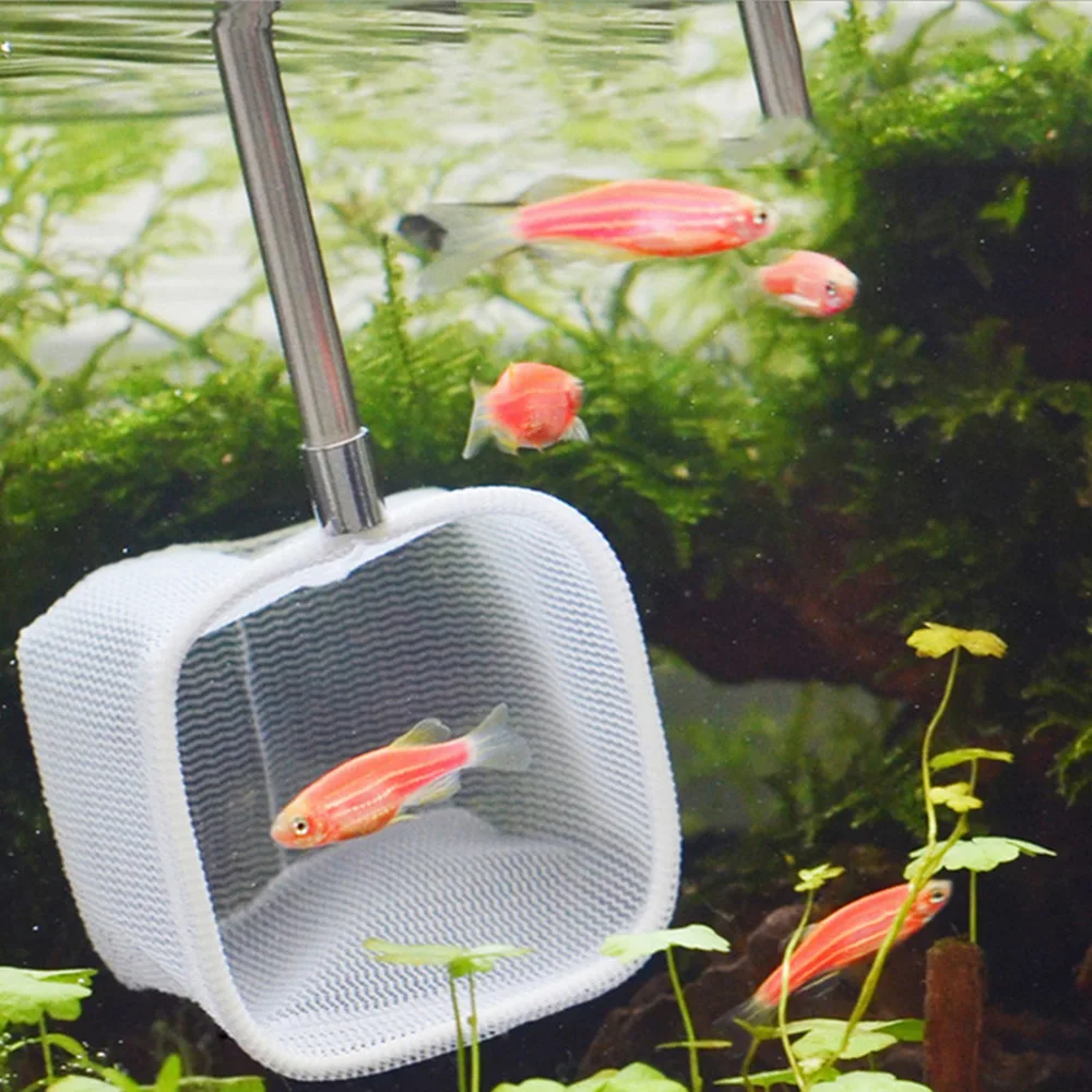 New 18-55CM Retractable 3D Aquarium Fish Tank Catch Net Stainless Steel Rod Fishing Square Round Pocket Shrimp Catching Nets
New 18-55CM Retractable 3D Aquarium Fish Tank Catch Net Stainless Steel Rod Fishing Square Round Pocket Shrimp Catching Nets