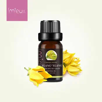 IMIEUX 10ml Pure Plant Essential Oil For Aromatherapy Diffuser Batn Aroma Oil Vanilla Ylang Camphor Tangerine Oil Air Fresh
IMIEUX 10ml Pure Plant Essential Oil For Aromatherapy Diffuser Batn Aroma Oil Vanilla Ylang Camphor Tangerine Oil Air Fresh