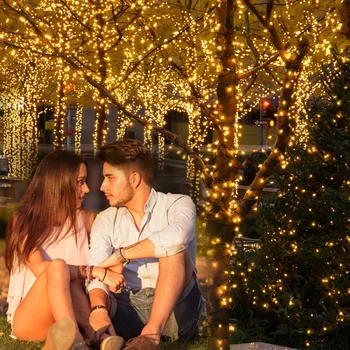 8 Modes 200LED Christmas Solar String Light Sensitive Light Control Indoor Outdoor Landscape Christmas Tree Lamp Home Decoration
8 Modes 200LED Christmas Solar String Light Sensitive Light Control Indoor Outdoor Landscape Christmas Tree Lamp Home Decoration