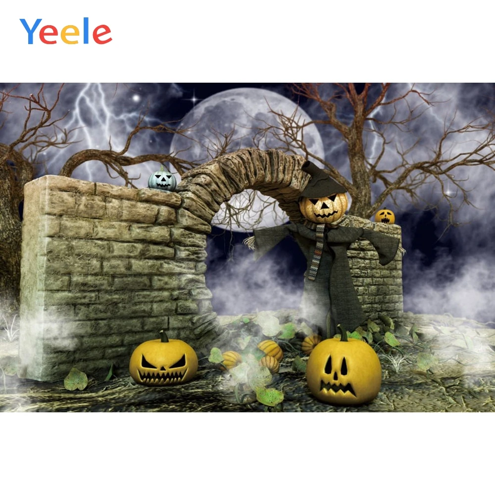 Yeele Halloween Backdrop Castle Bat Tomb Forest Cat Fog Moon Night Custom Vinyl Photography Background For Photo Studio Props
Yeele Halloween Backdrop Castle Bat Tomb Forest Cat Fog Moon Night Custom Vinyl Photography Background For Photo Studio Props