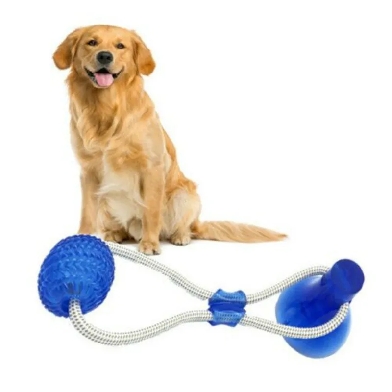Suction Cup Dog Push Toy Interactive Fun Pet Toy with TPR Ball Pet Tooth Cleaning Dog Ball Puppy Toys Dog Toys for Large Dogs
Suction Cup Dog Push Toy Interactive Fun Pet Toy with TPR Ball Pet Tooth Cleaning Dog Ball Puppy Toys Dog Toys for Large Dogs