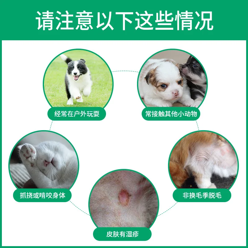 Small Flooding Pet in Vitro for Dogs Teddy Dog Insect Drugs in Addition to Liquid Dog Tick Insecticidal Drops Lai
Small Flooding Pet in Vitro for Dogs Teddy Dog Insect Drugs in Addition to Liquid Dog Tick Insecticidal Drops Lai