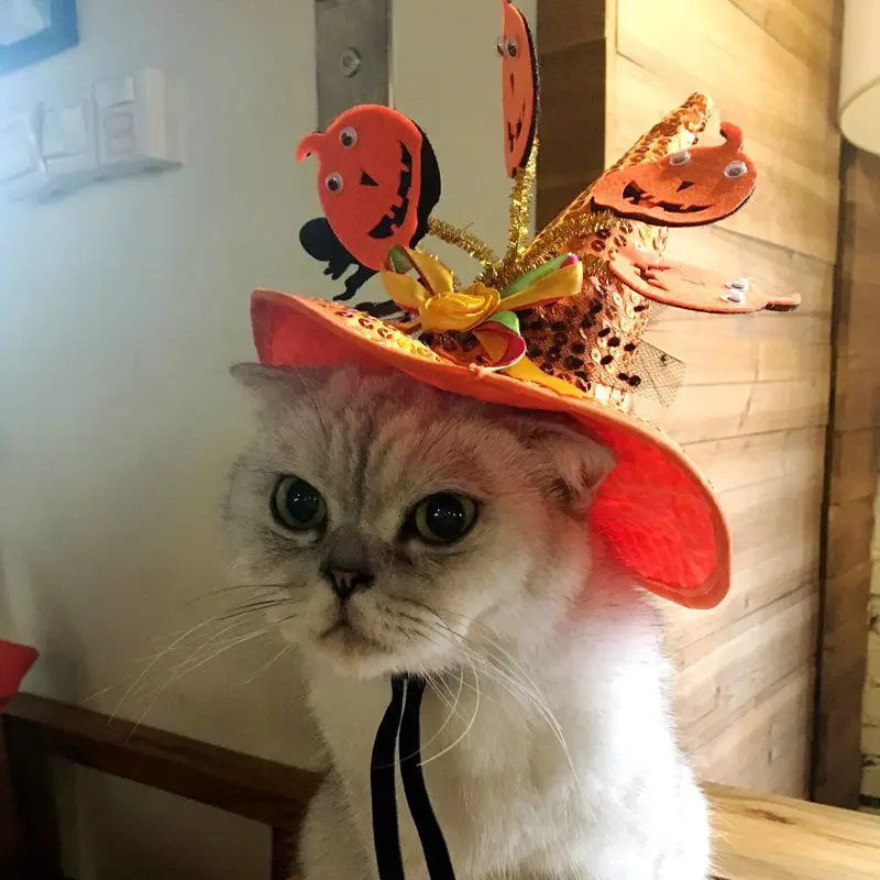 Pet Hat Cat Wizard Hat with Pumpkin and Ghost Meme Decoration Adjustable Rubber Band Festival and Party Supplies for Halloween
Pet Hat Cat Wizard Hat with Pumpkin and Ghost Meme Decoration Adjustable Rubber Band Festival and Party Supplies for Halloween