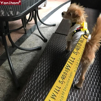 Collar for Dogs Harness Leash Fashion Nylon Dog Harness Vest Collar for Dogs Chain Pet Puppy Leash Nylon Rope Collar Perro Leash
Collar for Dogs Harness Leash Fashion Nylon Dog Harness Vest Collar for Dogs Chain Pet Puppy Leash Nylon Rope Collar Perro Leash
