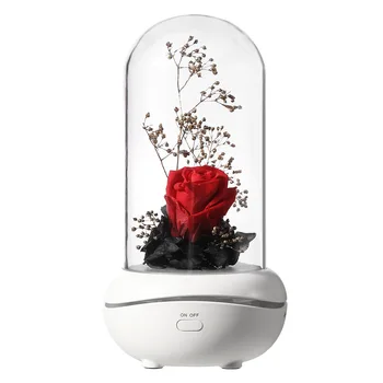GRTCO Waterless Essential Oil Aroma Diffuser Fragrant Scent Machine USB Rechargeable Aromatherapy Diffuser for Oil led lights
GRTCO Waterless Essential Oil Aroma Diffuser Fragrant Scent Machine USB Rechargeable Aromatherapy Diffuser for Oil led lights
