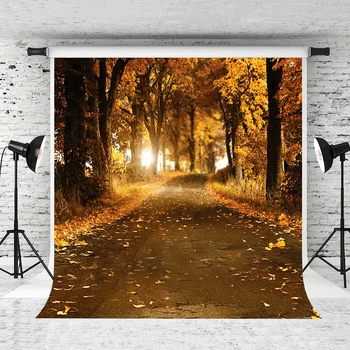 VinylBDS Scenic Photography Backdrops Autumn Forest Background Backdrop Rustic Backdrop Maple Photography for Photo Studio
VinylBDS Scenic Photography Backdrops Autumn Forest Background Backdrop Rustic Backdrop Maple Photography for Photo Studio