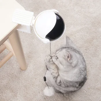 Training Automatic Lifting Electric Kitten Playing Exercise Cat Toy Clip On Spring Rod Interactive Pet Supplies Funny Ball
Training Automatic Lifting Electric Kitten Playing Exercise Cat Toy Clip On Spring Rod Interactive Pet Supplies Funny Ball