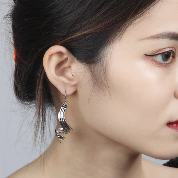 925 Sterling Silver Long Twisted Irregular Earrings for Women Men Charm Punk Exaggeration Dangle Drop Earring Wedding Party Ear
925 Sterling Silver Long Twisted Irregular Earrings for Women Men Charm Punk Exaggeration Dangle Drop Earring Wedding Party Ear