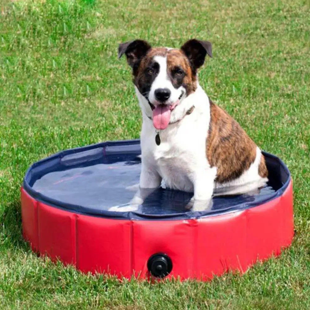 Bathing PVC Lawn Games Pad Swiming Pool Water Foldable Pet Pool Play Garden Game Pet Pool Family Mat Pat
Bathing PVC Lawn Games Pad Swiming Pool Water Foldable Pet Pool Play Garden Game Pet Pool Family Mat Pat