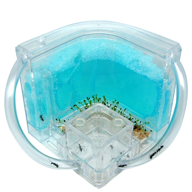 DIY Moisture with Feeding Area Ant Nest Ant Farm Ant Nests Villa Pet for House Ants Ant Workshop Ant Nest Science Educational To
DIY Moisture with Feeding Area Ant Nest Ant Farm Ant Nests Villa Pet for House Ants Ant Workshop Ant Nest Science Educational To