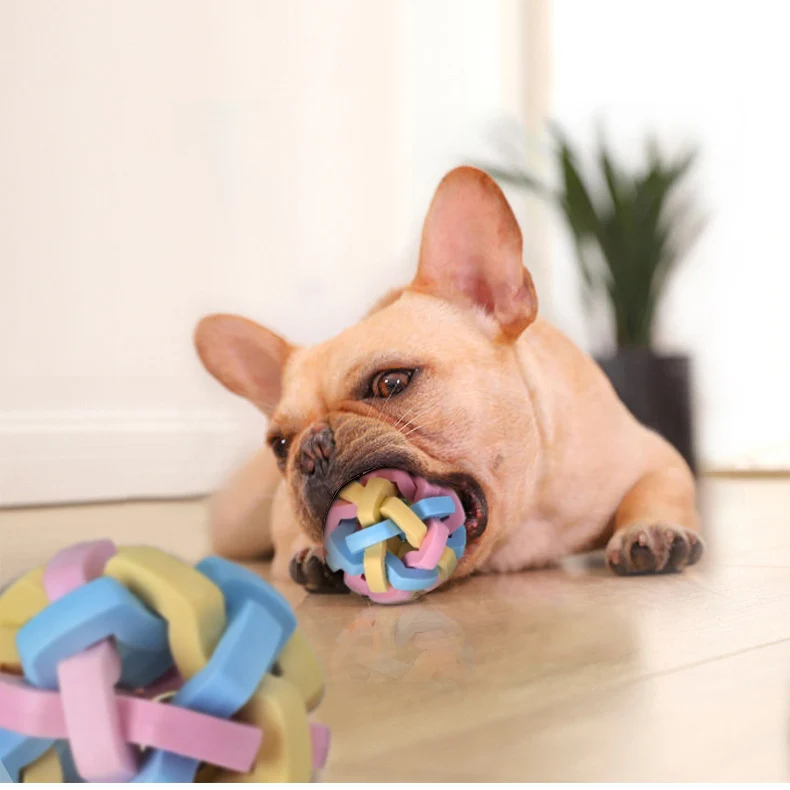 Colorful Bell Ball TPR Rubber Molar Treat Training Interactive Bite Resisitant Puppy Teeth Clean Chew Pet Dog Toy
Colorful Bell Ball TPR Rubber Molar Treat Training Interactive Bite Resisitant Puppy Teeth Clean Chew Pet Dog Toy