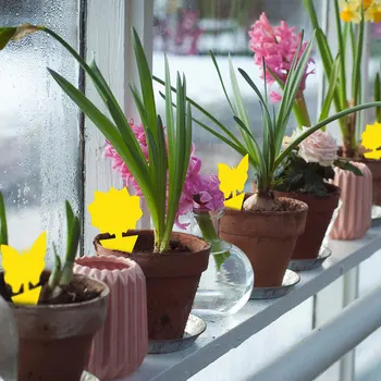 50pcs Protect Plant Catcher Dual Sided Fruit Fly Fungus Gnats Garden Non Toxic Home Indoor Outdoor Sticky Traps Waterproof 
50pcs Protect Plant Catcher Dual Sided Fruit Fly Fungus Gnats Garden Non Toxic Home Indoor Outdoor Sticky Traps Waterproof