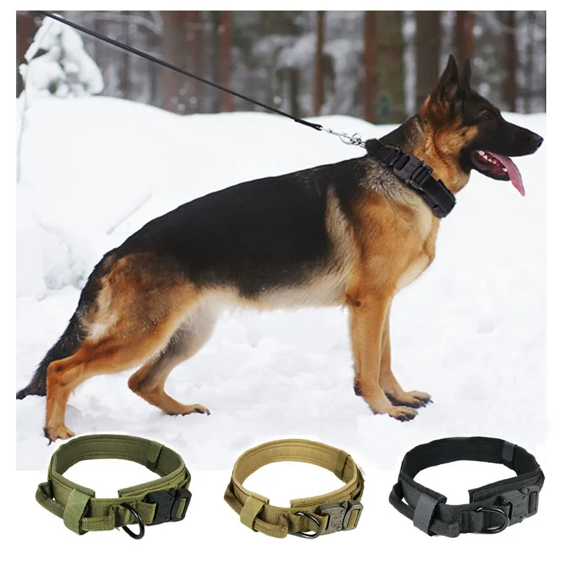 Dog Collar Nylon Adjustable Tactical Dog Collars For large Dog Control Handle Training Pet Military Dog Collar Pet Products
Dog Collar Nylon Adjustable Tactical Dog Collars For large Dog Control Handle Training Pet Military Dog Collar Pet Products