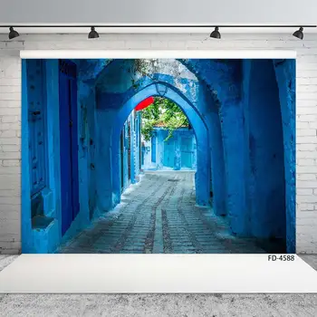 Blue Arch Door Corridor Brick Path Scenery Backgrounds Children Young Portrait Photography Backdrops For Photophone Photo Studio
Blue Arch Door Corridor Brick Path Scenery Backgrounds Children Young Portrait Photography Backdrops For Photophone Photo Studio