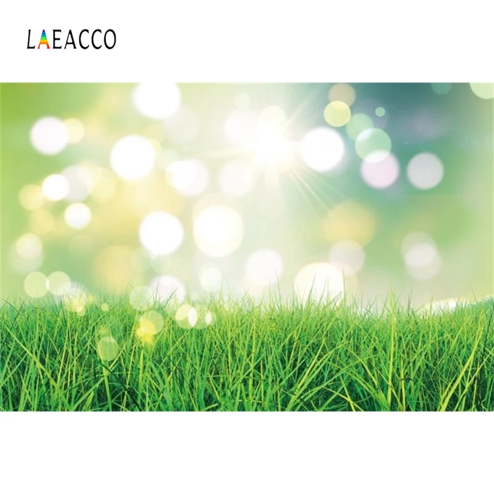 Laeacco Spring Photocall Light Bokeh Grassland Scenic Baby Shower Photography Backgrounds Photo Backdrops For Photo Studio Props
Laeacco Spring Photocall Light Bokeh Grassland Scenic Baby Shower Photography Backgrounds Photo Backdrops For Photo Studio Props