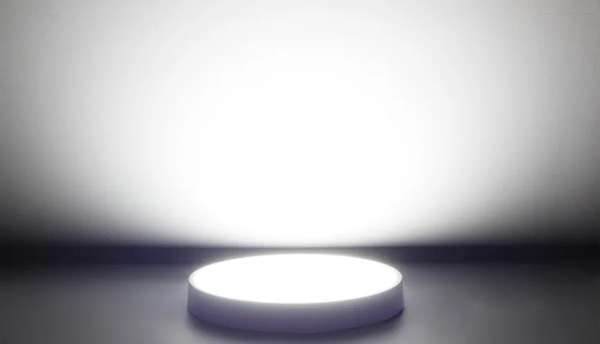z11