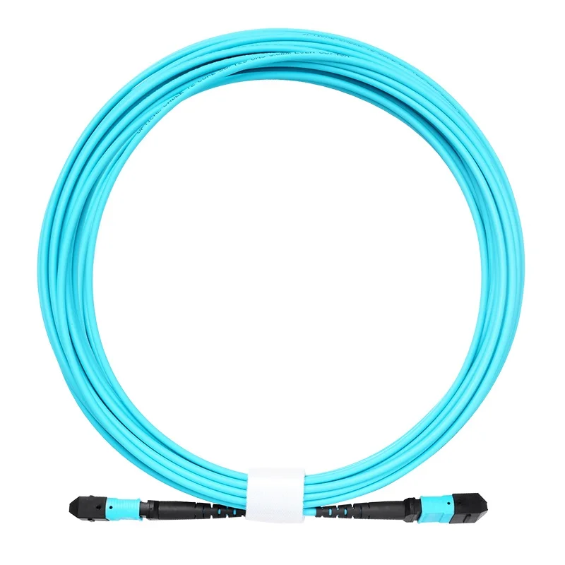 MPO-MPO 24 Core Fiber Optic Patch Cord 10GB 50/125 OM3 Multimode Fiber Optic Cable
MPO-MPO 24 Core Fiber Optic Patch Cord 10GB 50/125 OM3 Multimode Fiber Optic Cable