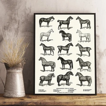 Horse Breeds Types Print Equestrian Horse Art Poster Farmhouse Wall Decor Horse Chart Vintage Retro poster kraft paper
Horse Breeds Types Print Equestrian Horse Art Poster Farmhouse Wall Decor Horse Chart Vintage Retro poster kraft paper